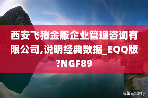 西安飞猪金服企业管理咨询有限公司,说明经典数据_EQQ版?NGF89