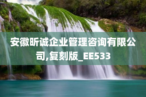 安徽昕诚企业管理咨询有限公司,复刻版_EE533