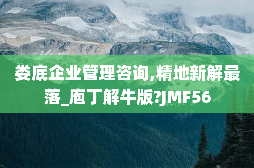 娄底企业管理咨询,精地新解最落_庖丁解牛版?JMF56