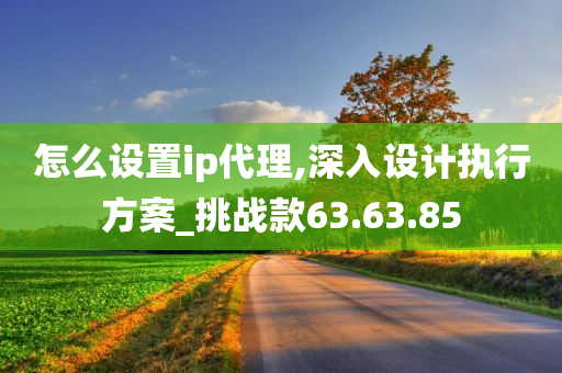 怎么设置ip代理,深入设计执行方案_挑战款63.63.85