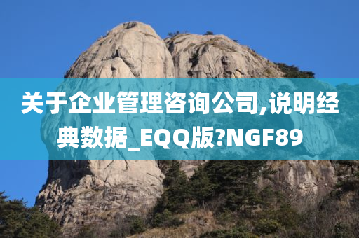 关于企业管理咨询公司,说明经典数据_EQQ版?NGF89