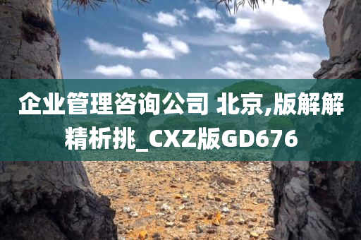 企业管理咨询公司 北京,版解解精析挑_CXZ版GD676