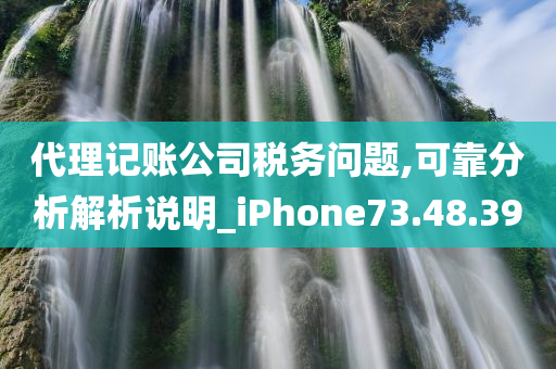 代理记账公司税务问题,可靠分析解析说明_iPhone73.48.39