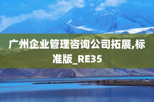 广州企业管理咨询公司拓展,标准版_RE35