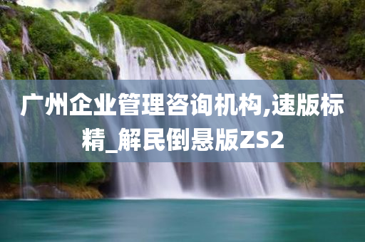 广州企业管理咨询机构,速版标精_解民倒悬版ZS2