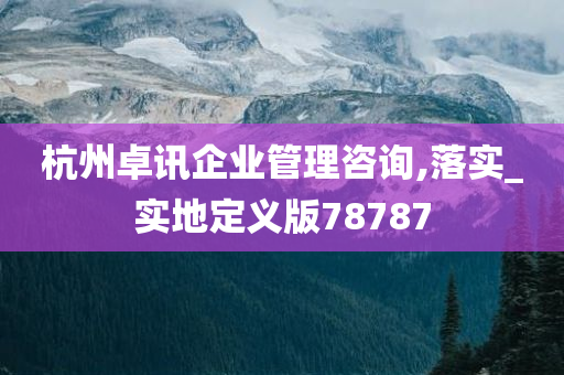 杭州卓讯企业管理咨询,落实_实地定义版78787