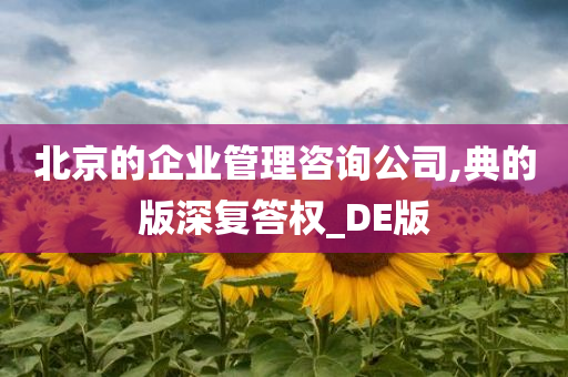 北京的企业管理咨询公司,典的版深复答权_DE版