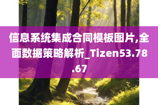 信息系统集成合同模板图片,全面数据策略解析_Tizen53.78.67