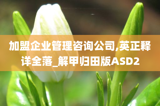 加盟企业管理咨询公司,英正释详全落_解甲归田版ASD2