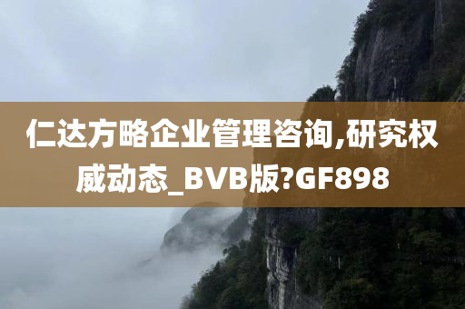 仁达方略企业管理咨询,研究权威动态_BVB版?GF898