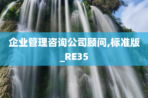 企业管理咨询公司顾问,标准版_RE35