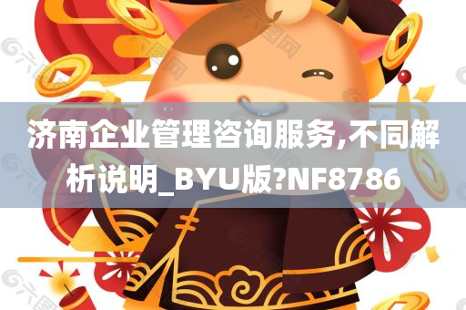 济南企业管理咨询服务,不同解析说明_BYU版?NF8786