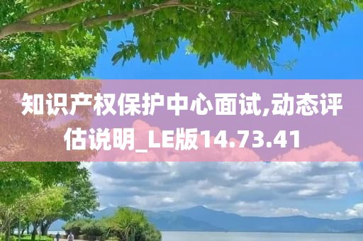 知识产权保护中心面试,动态评估说明_LE版14.73.41