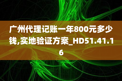 广州代理记账一年800元多少钱,实地验证方案_HD51.41.16