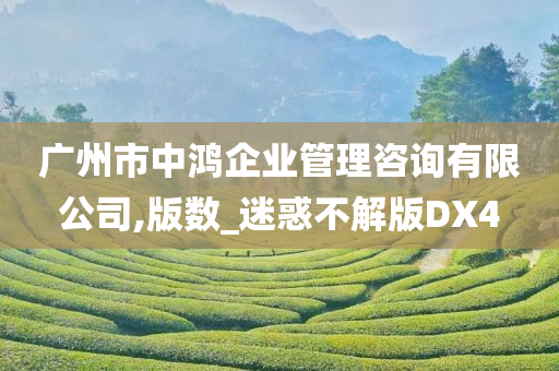 广州市中鸿企业管理咨询有限公司,版数_迷惑不解版DX4