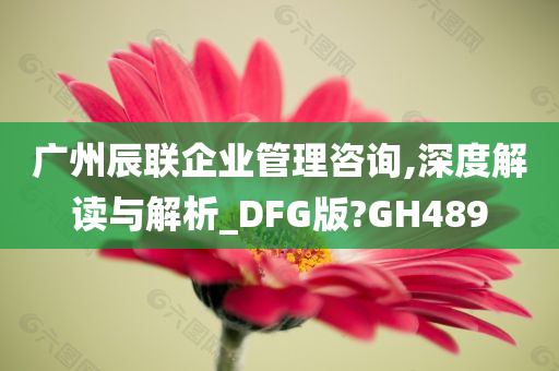 广州辰联企业管理咨询,深度解读与解析_DFG版?GH489