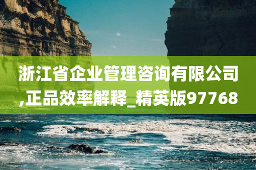 浙江省企业管理咨询有限公司,正品效率解释_精英版97768