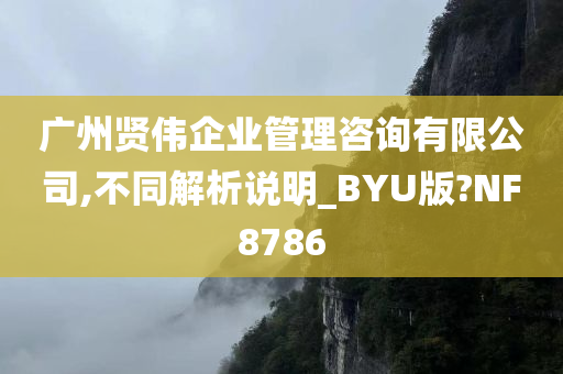 广州贤伟企业管理咨询有限公司,不同解析说明_BYU版?NF8786