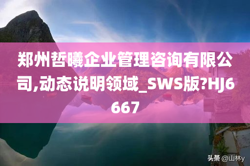 郑州哲曦企业管理咨询有限公司,动态说明领域_SWS版?HJ6667