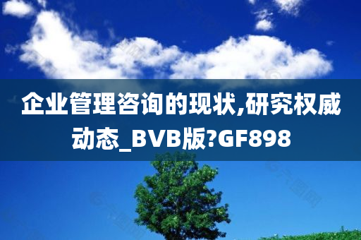 企业管理咨询的现状,研究权威动态_BVB版?GF898