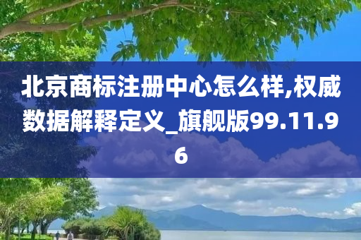 北京商标注册中心怎么样,权威数据解释定义_旗舰版99.11.96