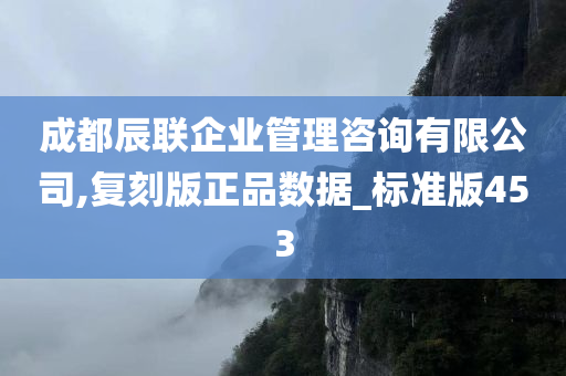 成都辰联企业管理咨询有限公司,复刻版正品数据_标准版453