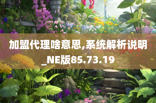 加盟代理啥意思,系统解析说明_NE版85.73.19