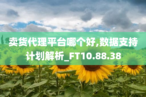 卖货代理平台哪个好,数据支持计划解析_FT10.88.38