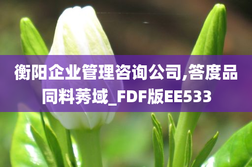 衡阳企业管理咨询公司,答度品同料莠域_FDF版EE533