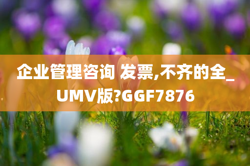 企业管理咨询 发票,不齐的全_UMV版?GGF7876