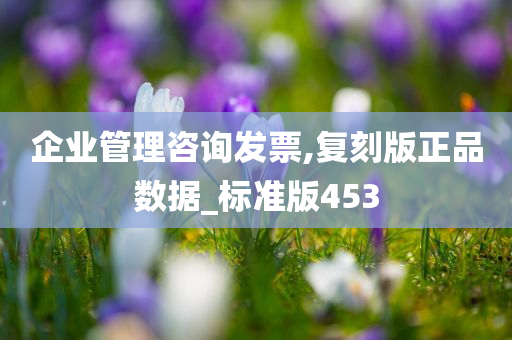 企业管理咨询发票,复刻版正品数据_标准版453