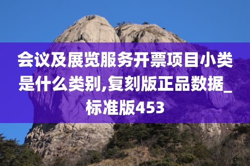 会议及展览服务开票项目小类是什么类别,复刻版正品数据_标准版453