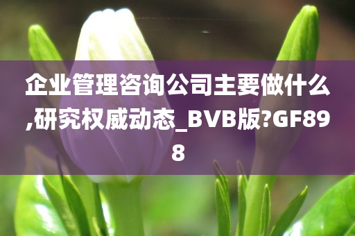 企业管理咨询公司主要做什么,研究权威动态_BVB版?GF898