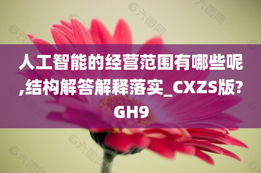 人工智能的经营范围有哪些呢,结构解答解释落实_CXZS版?GH9