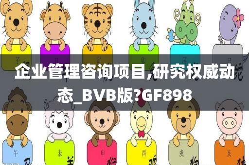 企业管理咨询项目,研究权威动态_BVB版?GF898