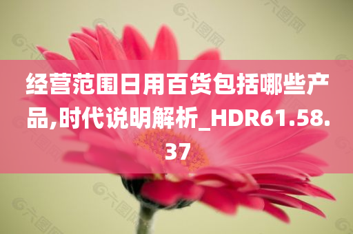 经营范围日用百货包括哪些产品,时代说明解析_HDR61.58.37