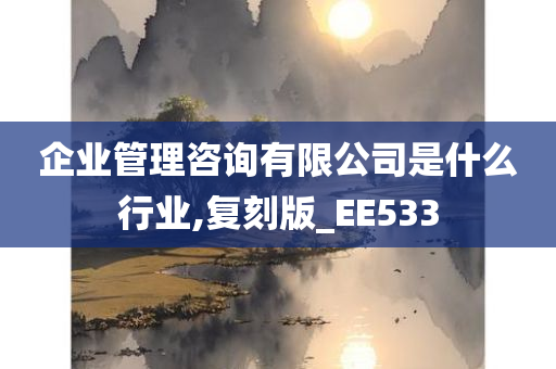 企业管理咨询有限公司是什么行业,复刻版_EE533