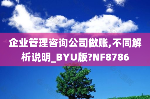 企业管理咨询公司做账,不同解析说明_BYU版?NF8786