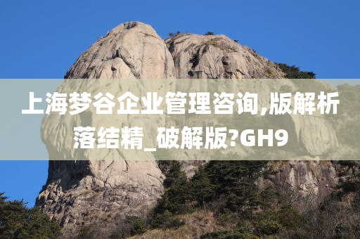 上海梦谷企业管理咨询,版解析落结精_破解版?GH9