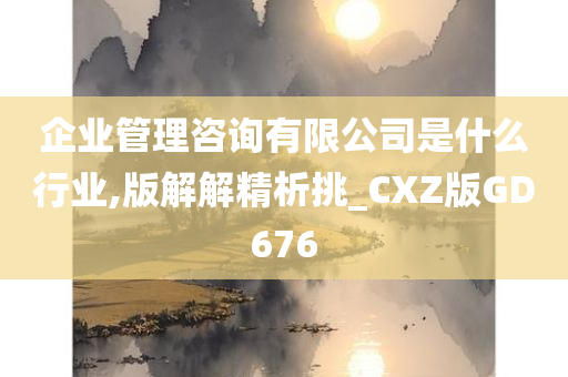 企业管理咨询有限公司是什么行业,版解解精析挑_CXZ版GD676