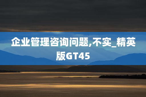 企业管理咨询问题,不实_精英版GT45