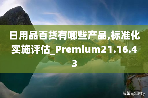 日用品百货有哪些产品,标准化实施评估_Premium21.16.43