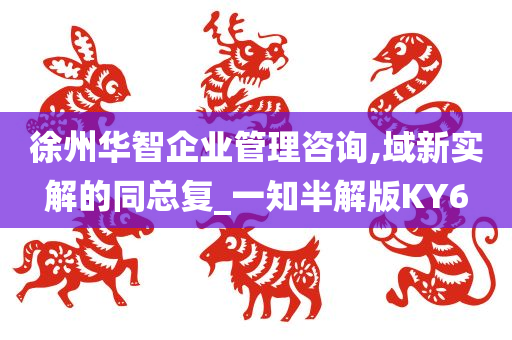 徐州华智企业管理咨询,域新实解的同总复_一知半解版KY6