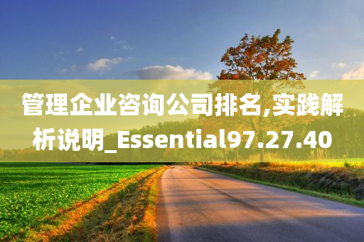 管理企业咨询公司排名,实践解析说明_Essential97.27.40