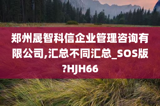 郑州晟智科信企业管理咨询有限公司,汇总不同汇总_SOS版?HJH66