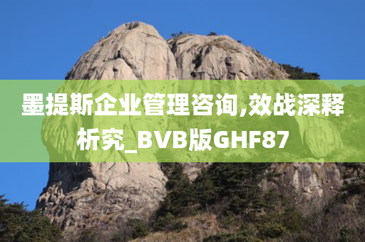 墨提斯企业管理咨询,效战深释析究_BVB版GHF87