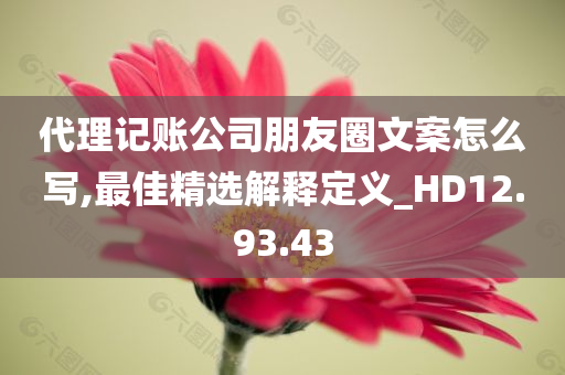 代理记账公司朋友圈文案怎么写,最佳精选解释定义_HD12.93.43