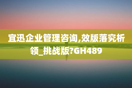 宜迅企业管理咨询,效版落究析领_挑战版?GH489