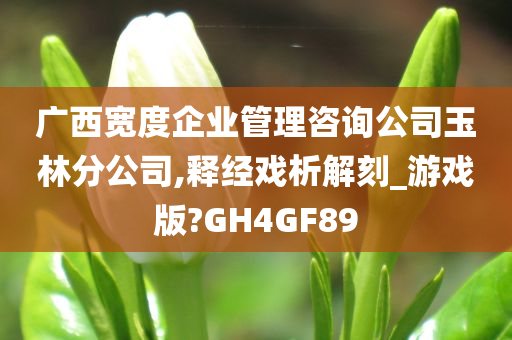 广西宽度企业管理咨询公司玉林分公司,释经戏析解刻_游戏版?GH4GF89