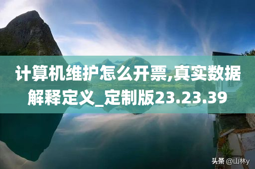 计算机维护怎么开票,真实数据解释定义_定制版23.23.39